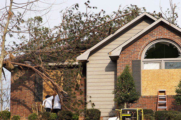 EMERGENCY TREE SERVICES