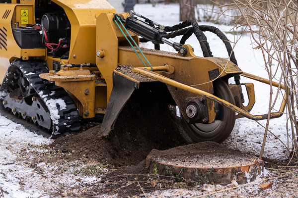 Stump Grinding Near Me