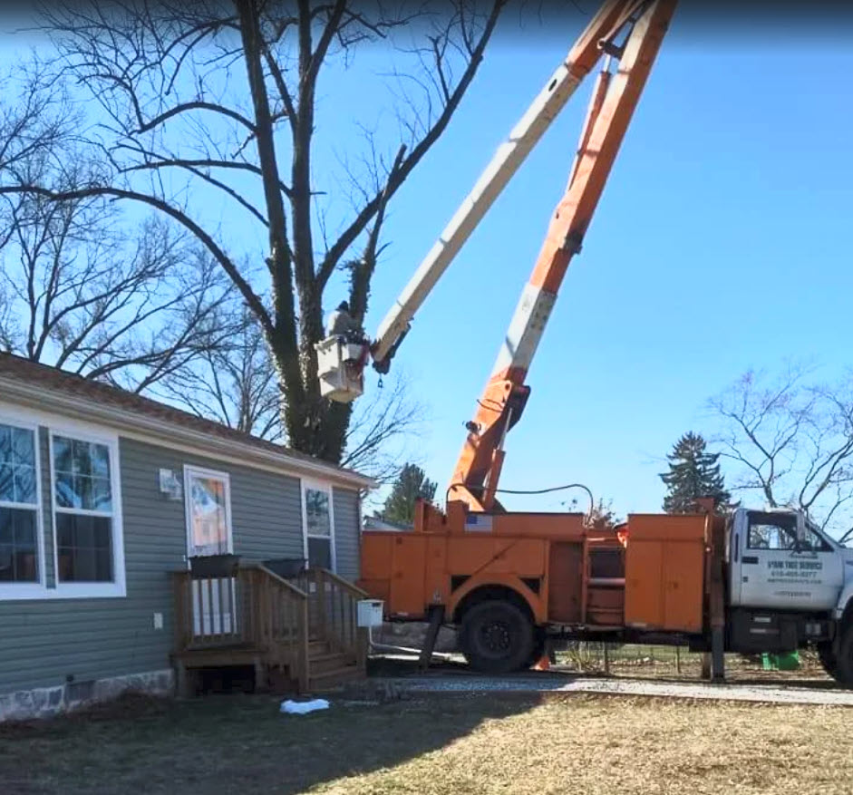 m&m Tree Service pottstown