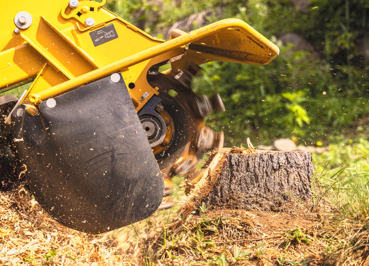 professional Stump Grinding